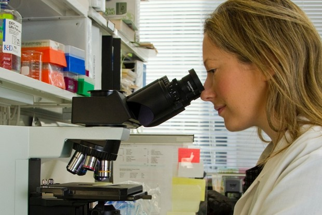 Investigación sobre meditación