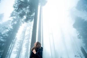 La víbora en el camino - y en la meditación
