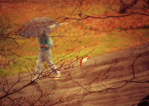 Foto: Jamie Harris