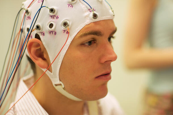 eeg_large