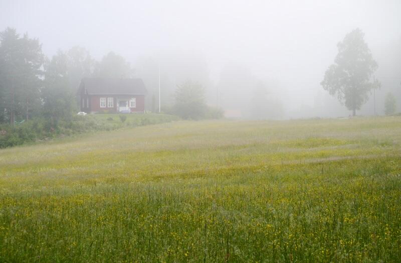 Tåkestemning